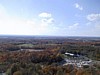 S_img_2029.jpg