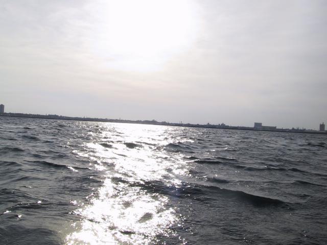 S_img_2113.jpg