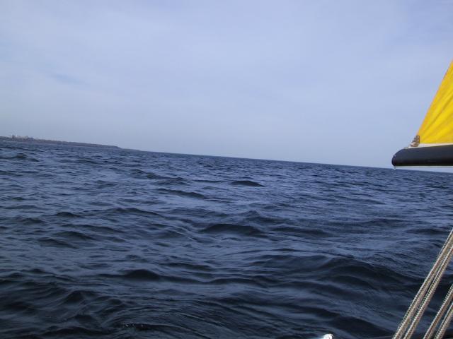 S_img_2120.jpg