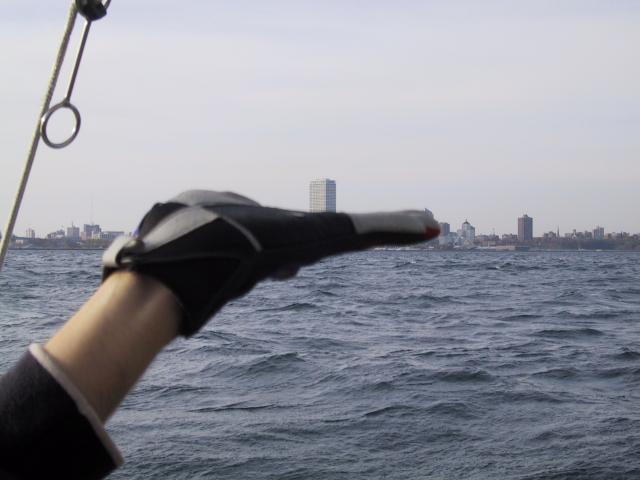 S_img_2149.jpg