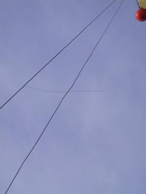 S_img_2158.jpg