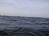 S_img_2118.jpg