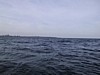 S_img_2119.jpg
