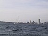 S_img_2135.jpg