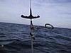 S_img_2154.jpg