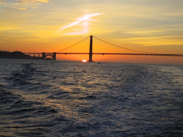 S_img_3384.jpg