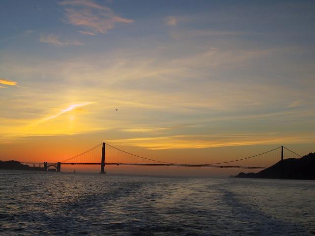 S_img_3395.jpg