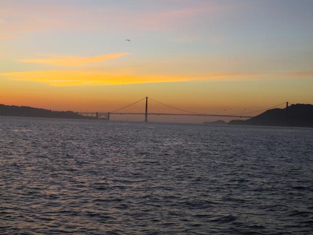 S_img_3417.jpg