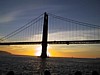 S_img_3354.jpg