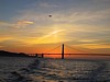 S_img_3388.jpg