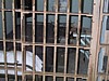S_img_3494.jpg