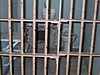 S_img_3495.jpg