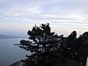 S_img_3585.jpg