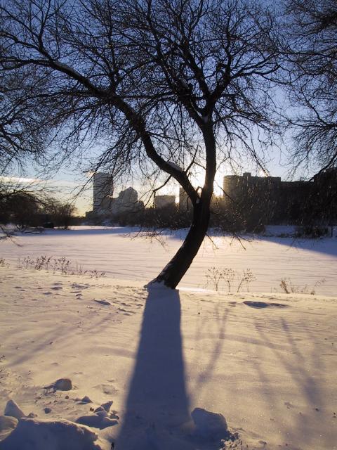 S_IMG_3933.JPG