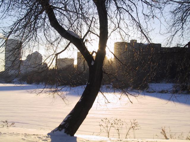 S_IMG_3935.JPG