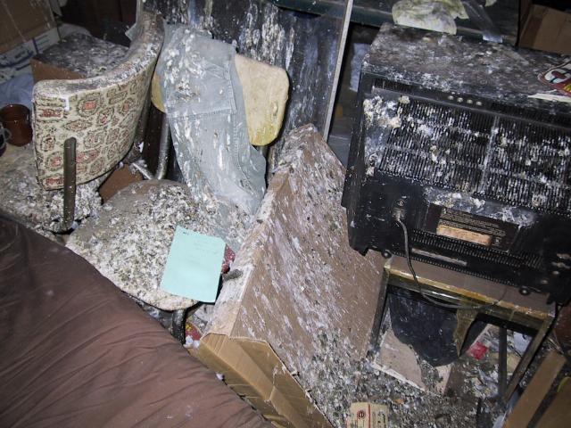 S_IMG_3959 - Nice Attic.JPG