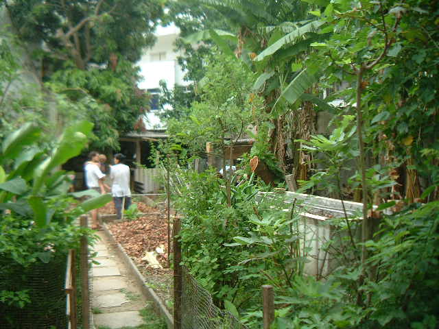 DSCF0003.JPG