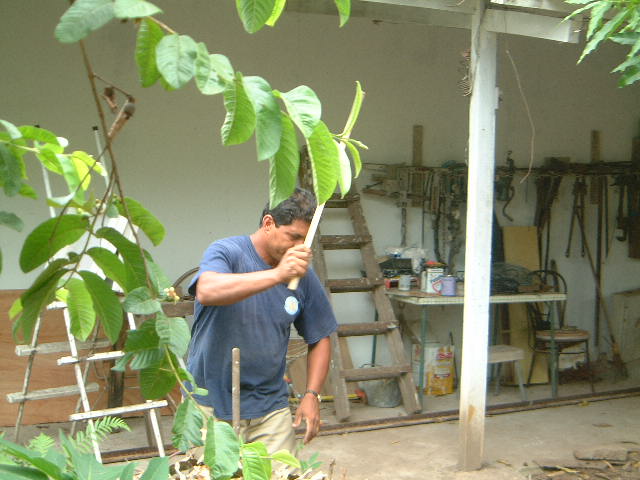 DSCF0006.JPG