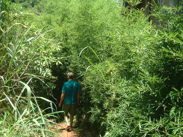 DSCF0027.JPG