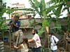 DSCF0008.JPG