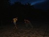 DSCF0024.JPG