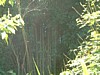 DSCF0029.JPG
