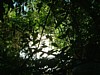 DSCF0030.JPG