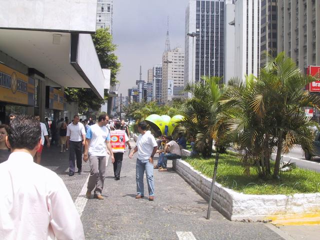 S_img_8992.jpg
