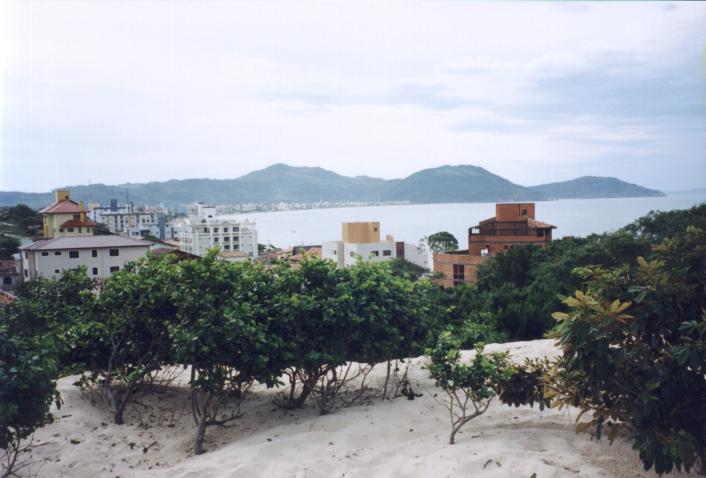 S_0210.jpg