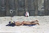 S_0030.jpg