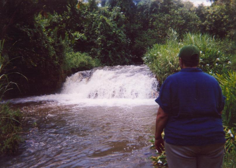S_ls220.jpg