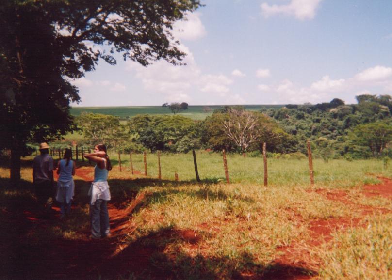 S_ls250.jpg