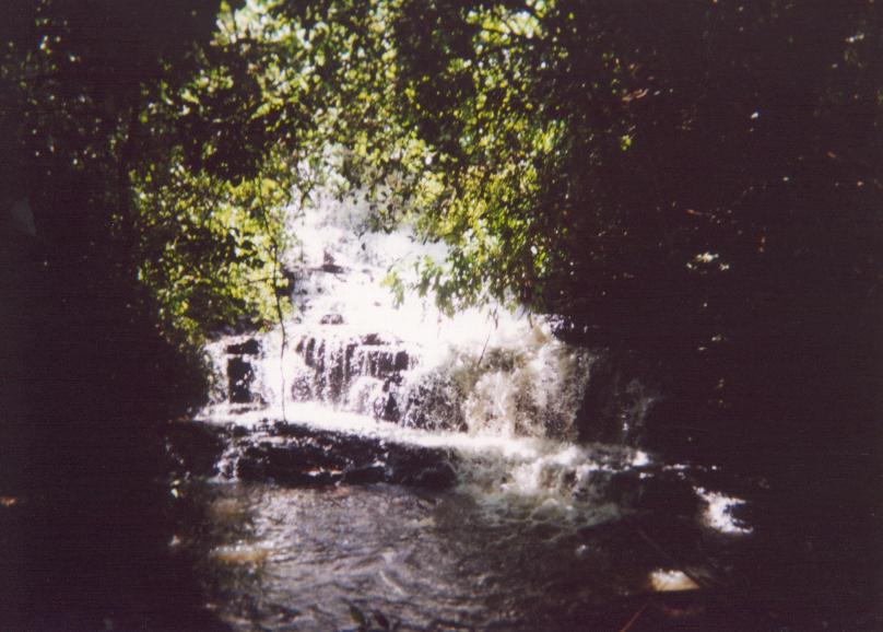 S_ls260.jpg