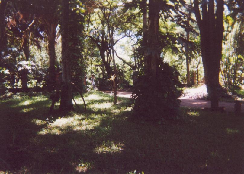 S_ls280.jpg