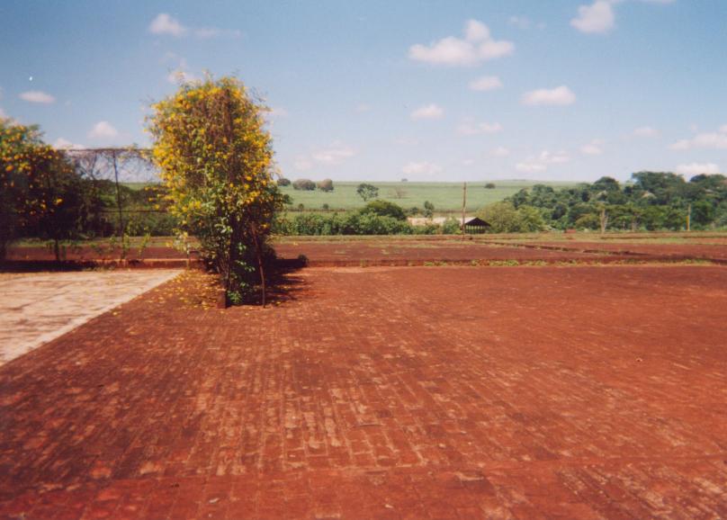 S_ls310.jpg