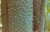 S_0700.jpg
