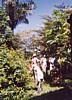 S_ls340.jpg