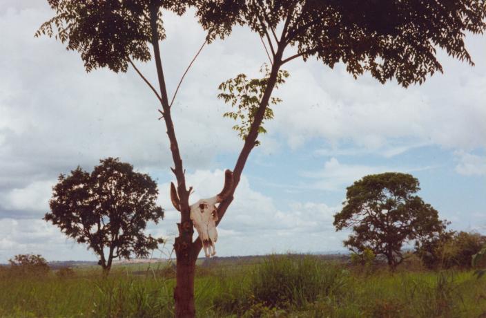 S_1040.jpg
