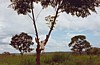S_1040.jpg