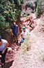 S_1170.jpg