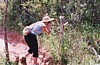 S_1250.jpg