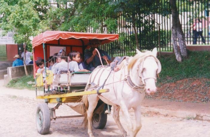S_1270.jpg