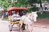 S_1270.jpg