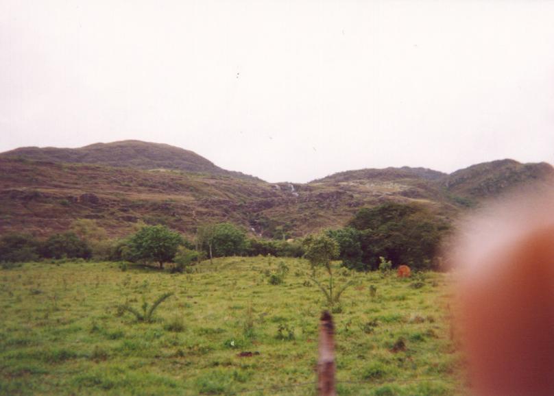 S_ls730.jpg
