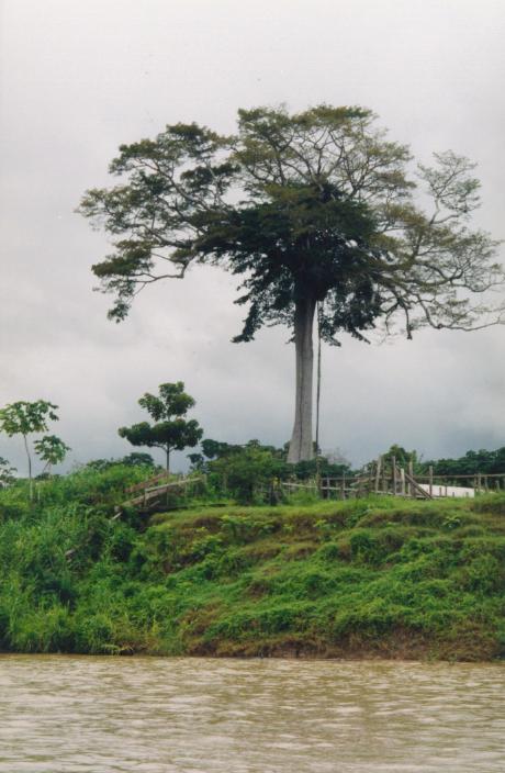 S_2200.jpg
