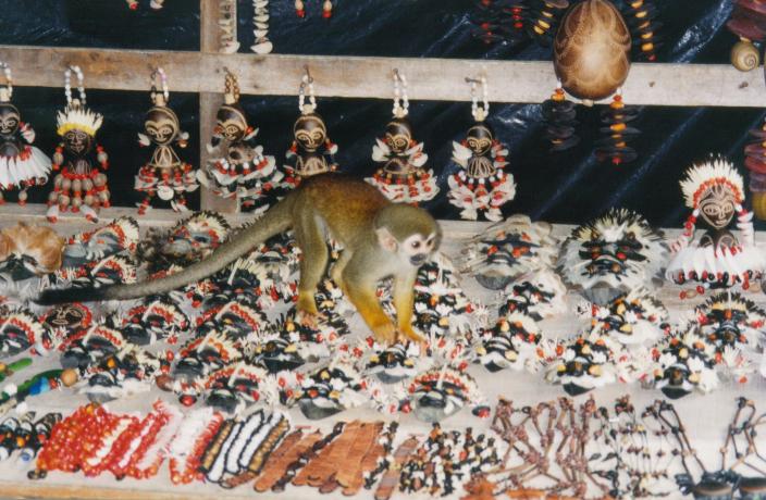 S_2250.jpg