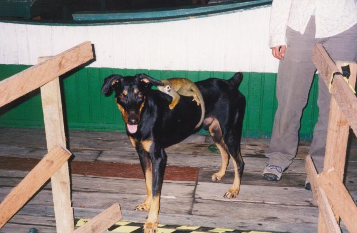 S_2360.jpg