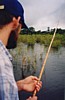 S_2290.jpg