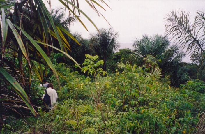 S_2470.jpg