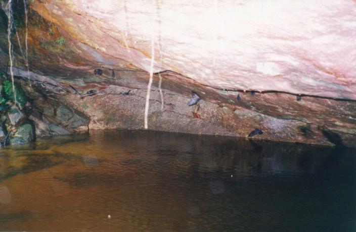 S_3110.jpg